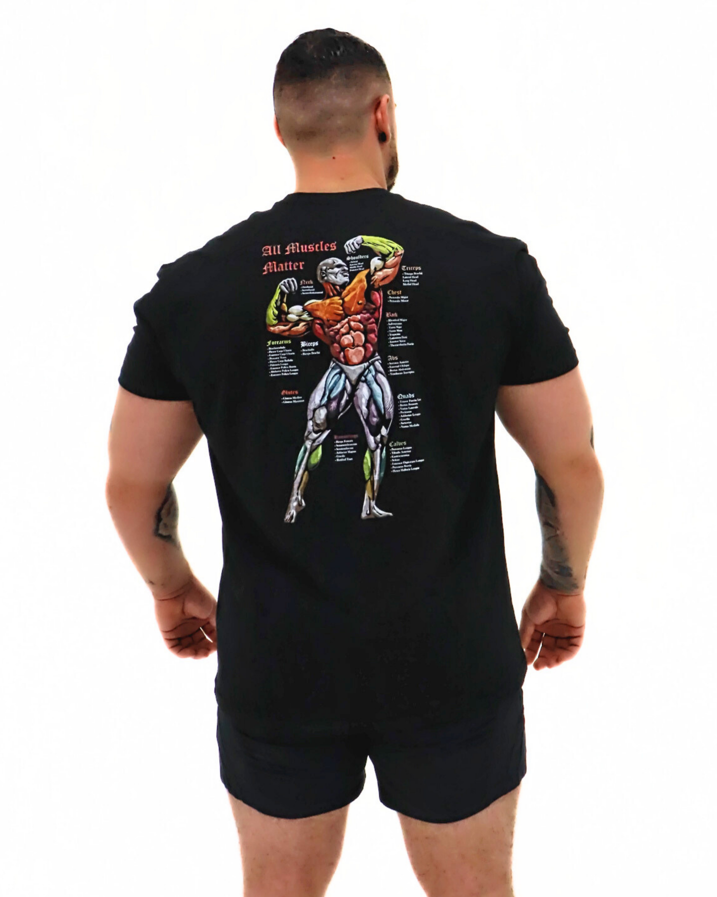 All Muscles Matter : Graphic Tee