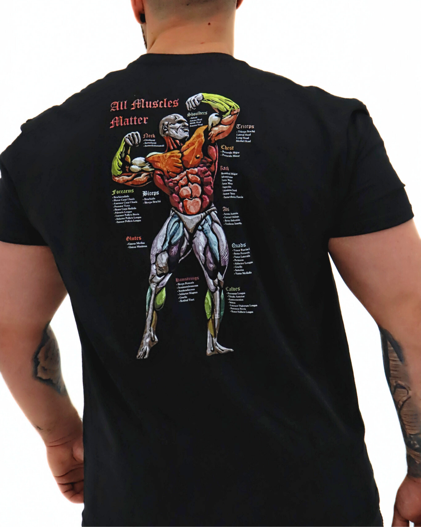 All Muscles Matter : Graphic Tee